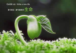 癌症能活多久